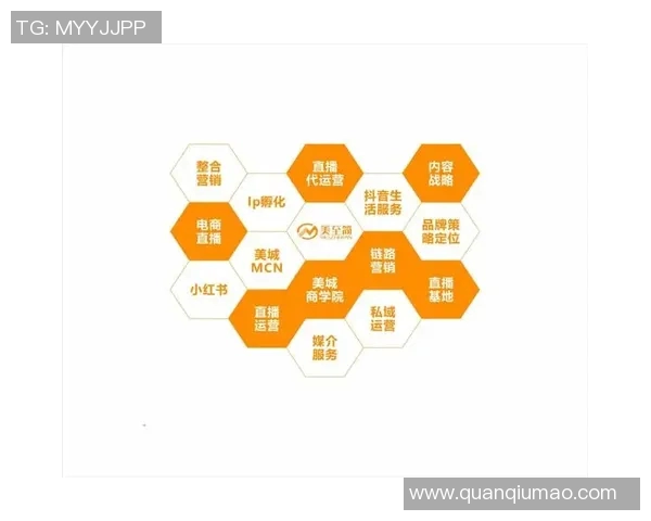 以策划为核心的创新路径：构建全新战略布局推动品牌快速崛起